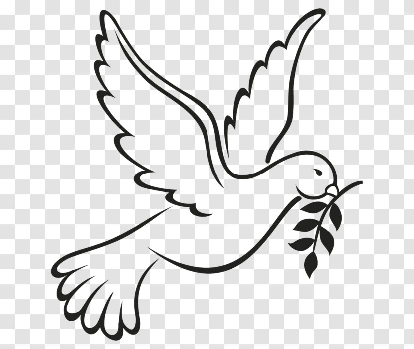 Columbidae Doves As Symbols Peace Drawing - Branch - Flying Hope Transparent PNG