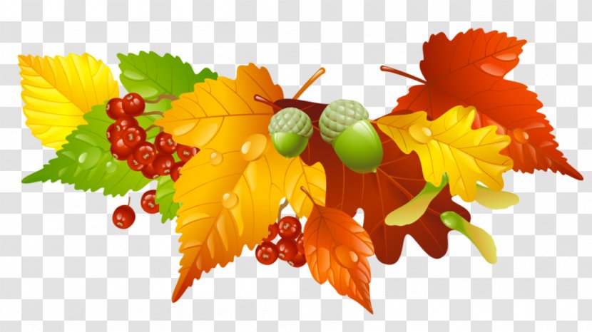 Clip Art - Grapevine Family - Autumn Transparent PNG