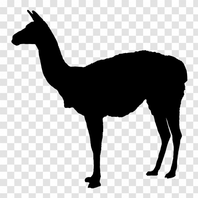Llama Deer Clip Art - Horse Like Mammal - Back Silhouette Transparent PNG
