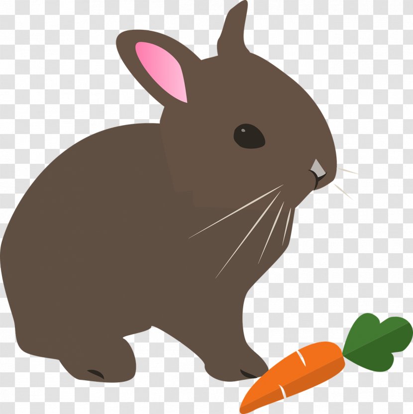 Hare Easter Bunny Rabbit Clip Art - Cartoon Transparent PNG