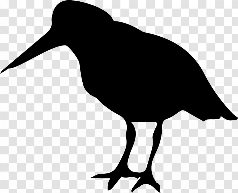 Bird Silhouette Haematopus Photography - Wader Transparent PNG