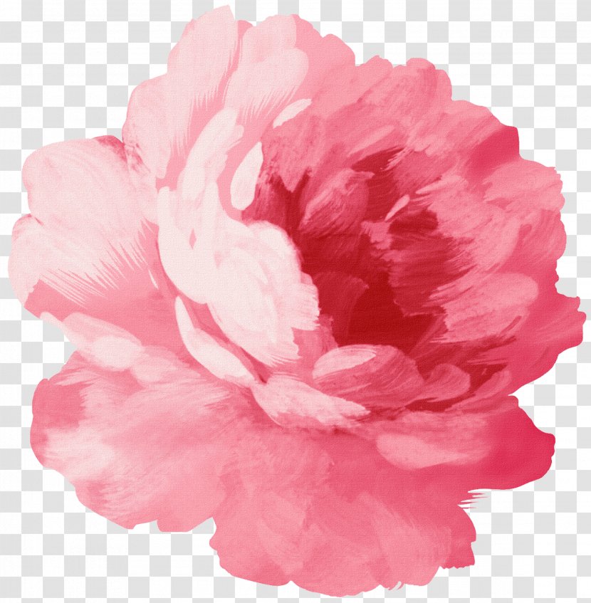 Paper Sticker Pink Flowers Rose - Family - Brushwork Pastel Color Transparent PNG