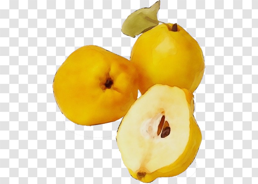 Yellow Fruit Food Plant Natural Foods - Paint - Superfood Quince Transparent PNG