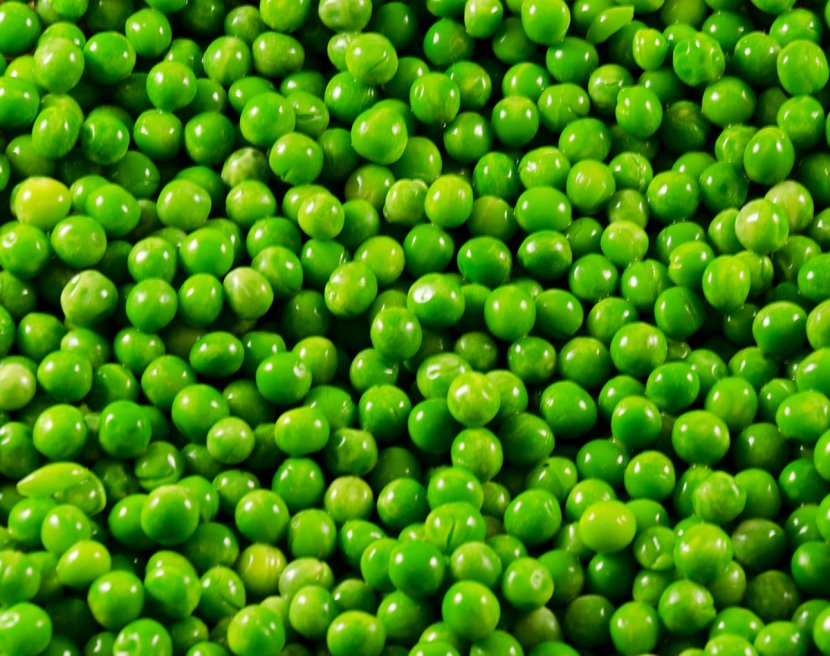 Pea Vegetarian Cuisine Vegetable Food Legume - Healthy Diet Transparent PNG