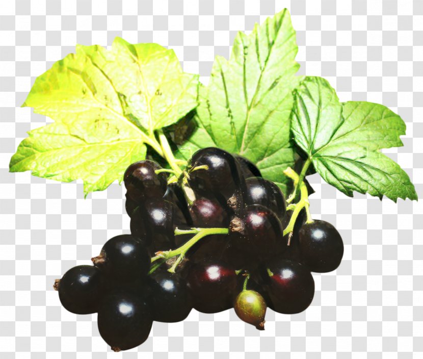 Leaves Background - Grape - Superfood Blackberry Transparent PNG