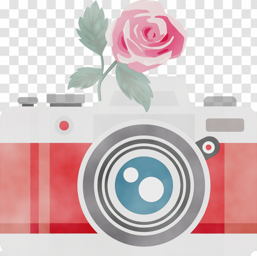 Rose Transparent PNG