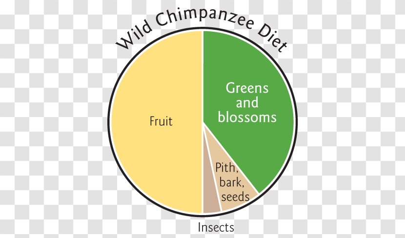 Raw Foodism Common Chimpanzee Smoothie Diet Eating - Diabetes Mellitus Transparent PNG