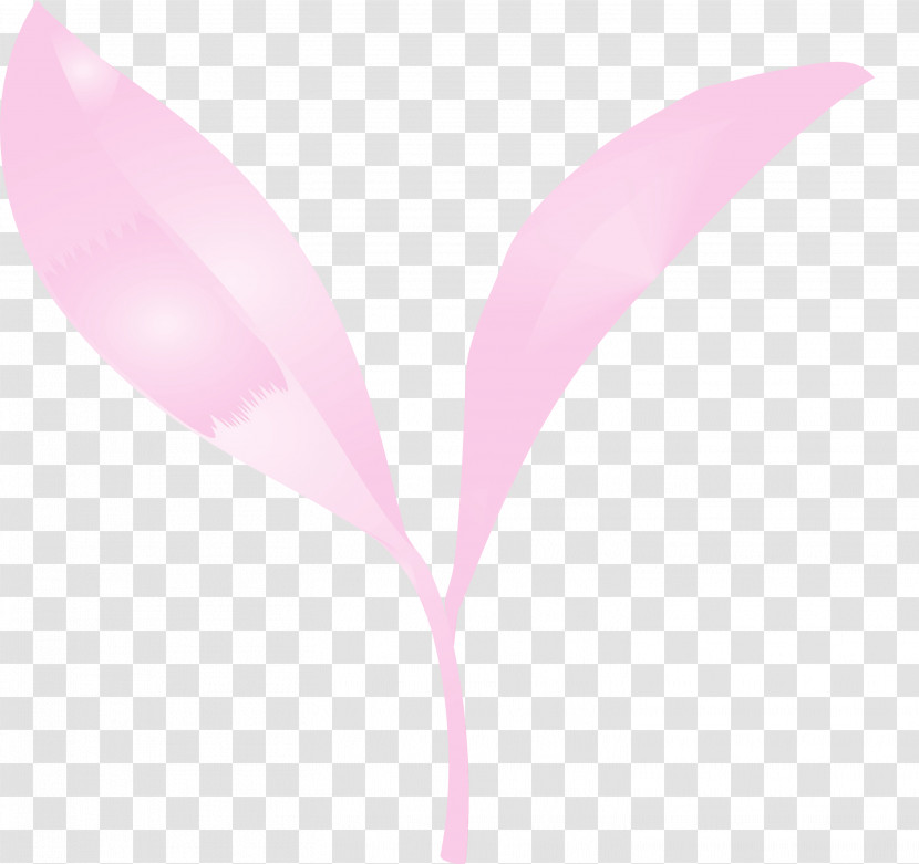 Pink Leaf Plant Flower Magenta Transparent PNG