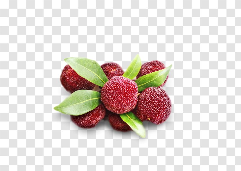 Juice Morella Rubra Fruit - Bayberry - Strawberry Transparent PNG