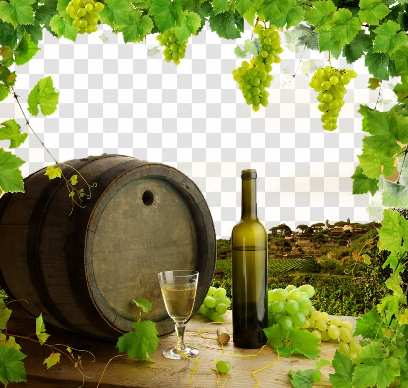 White Wine Common Grape Vine Stock Photography - Estate Transparent PNG
