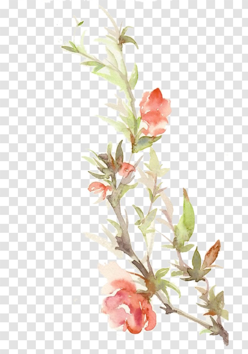 Paper Watercolor Painting Floral Design - Inkstick - Peach Color Ink Picture Material Transparent PNG