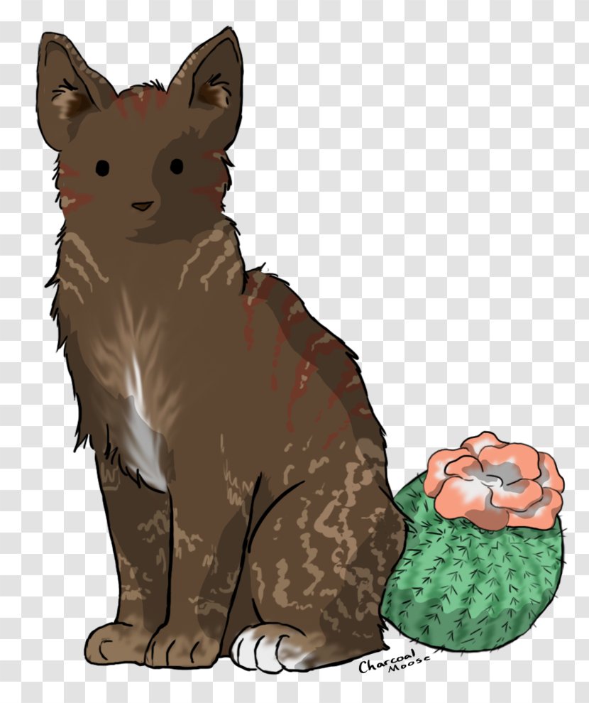 Whiskers Cactus Cat Red Fox - Like Mammal Transparent PNG