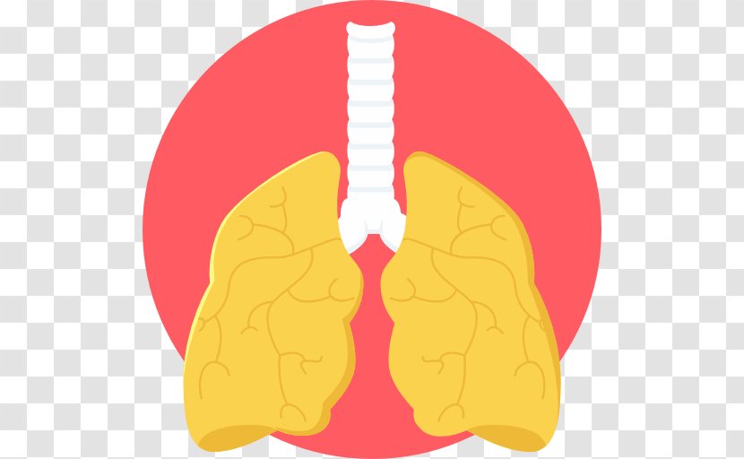 Lung Clip Art - Flower - Cartoon Transparent PNG