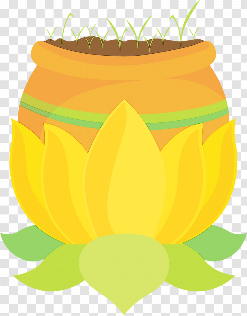 Flower Flowerpot Yellow Fruit Plants Transparent PNG