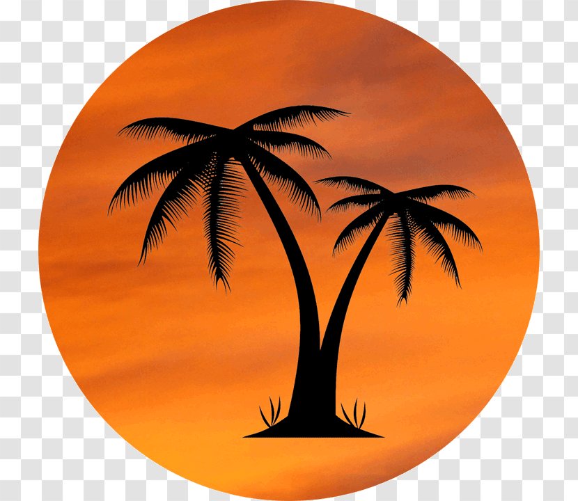 Arecaceae Clip Art - Sunset - Orange Tree Transparent PNG