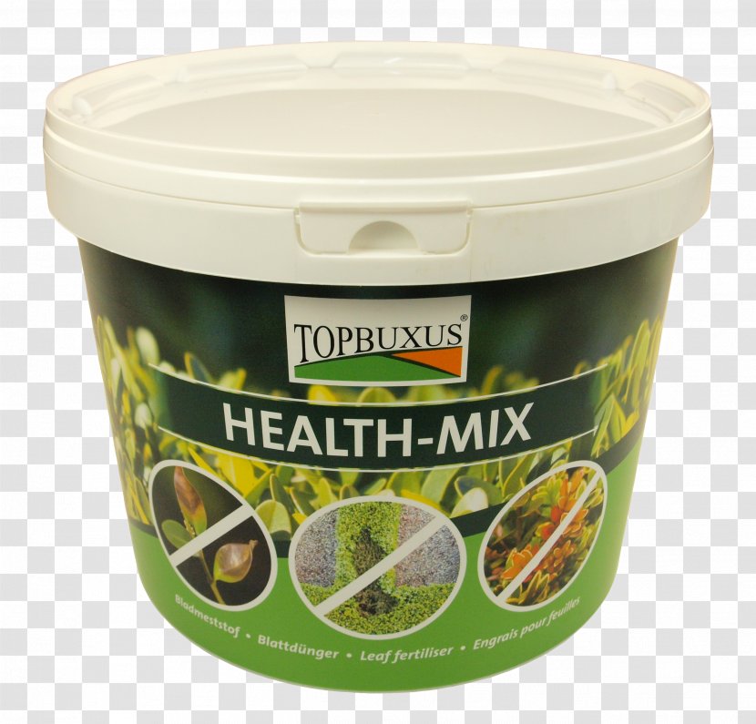 Take Control Of Your Health Box Tree Moth Buxus Sempervirens Caterpillar Boxwood Blight - Bacillus Thuringiensis Transparent PNG
