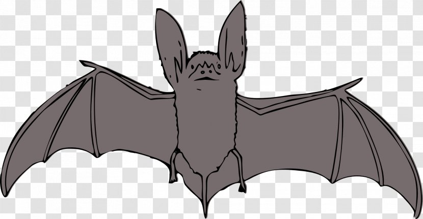 Bat Clip Art - Dog Like Mammal Transparent PNG