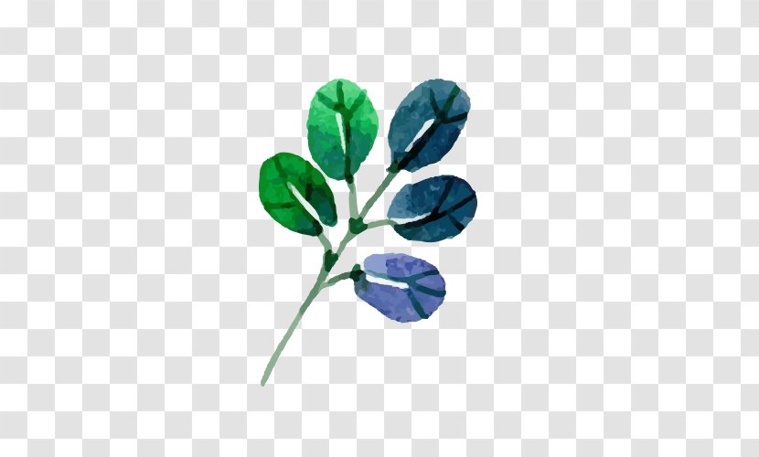 Leaf Flower Drawing - Painting Five Leaves Grass Transparent PNG