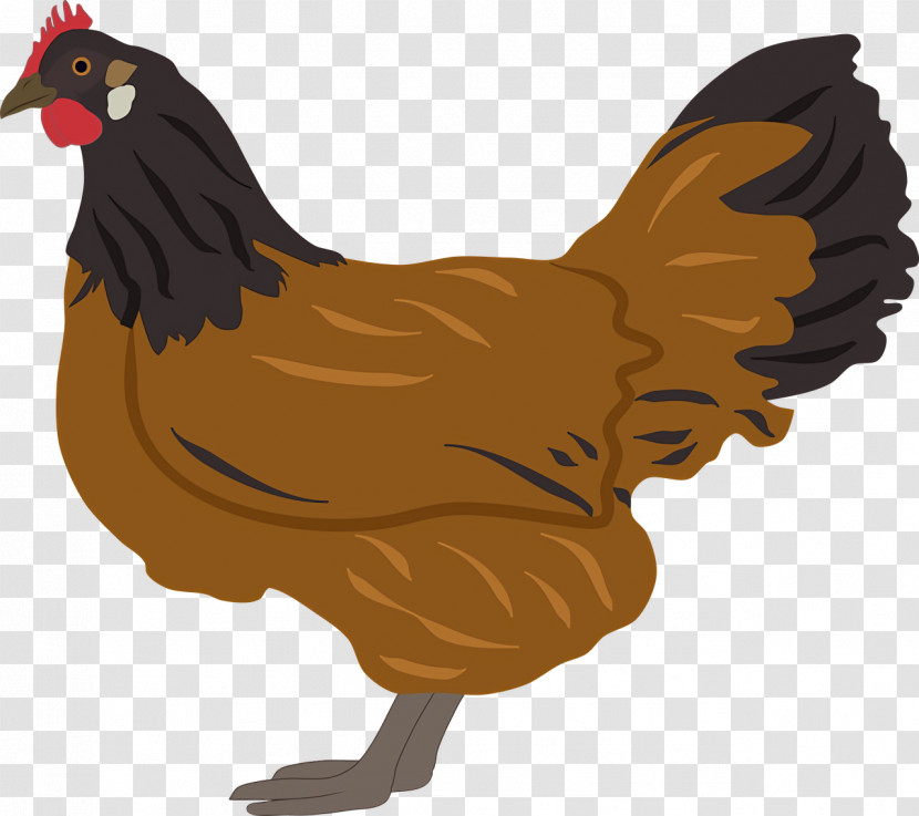 Fowl Chicken Rooster Poultry Cartoon Transparent PNG