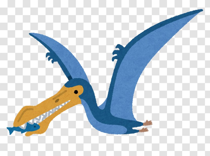 Anhanguera Illustration Cartoon Pterosaurs Beak - Head - Hatena Transparent PNG