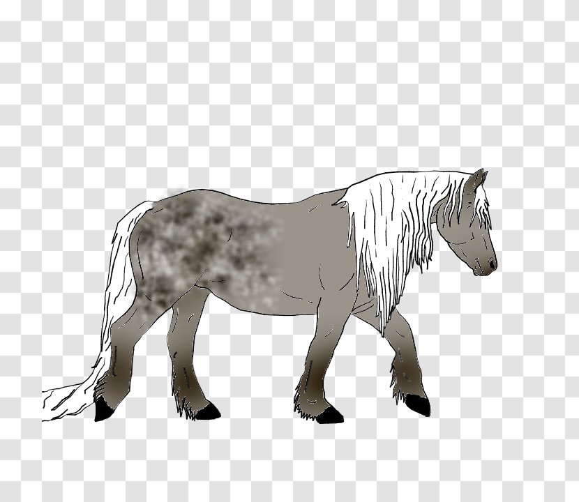 Mule Mustang Stallion Pony Mare - Halter Transparent PNG