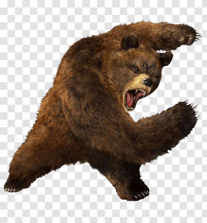 Tekken 5 4 Street Fighter X 3 Tag Tournament 2 - Brown Greezly Bear Image Transparent PNG