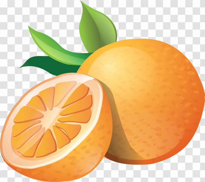 Orange Juice - Citrus Transparent PNG