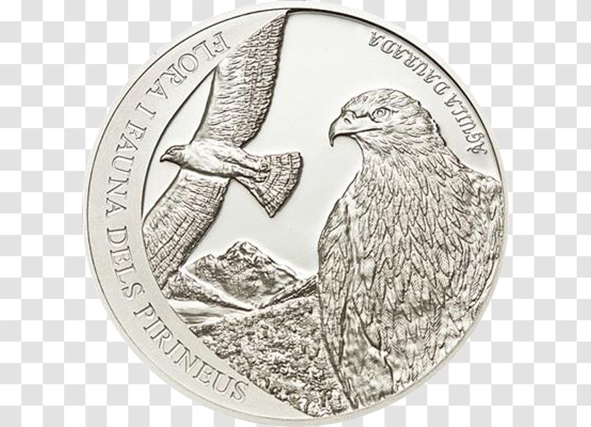 Proof Coinage Numismatics American Silver Eagle Uncirculated Coin - United States Mint Transparent PNG