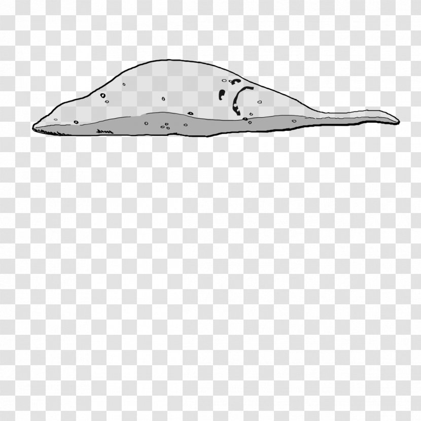 Dolphin Porpoise Marine Mammal Cetacea Footwear - Slim Transparent PNG