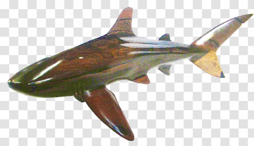 Whale Shark Bull Blacktip Cetacea Transparent PNG