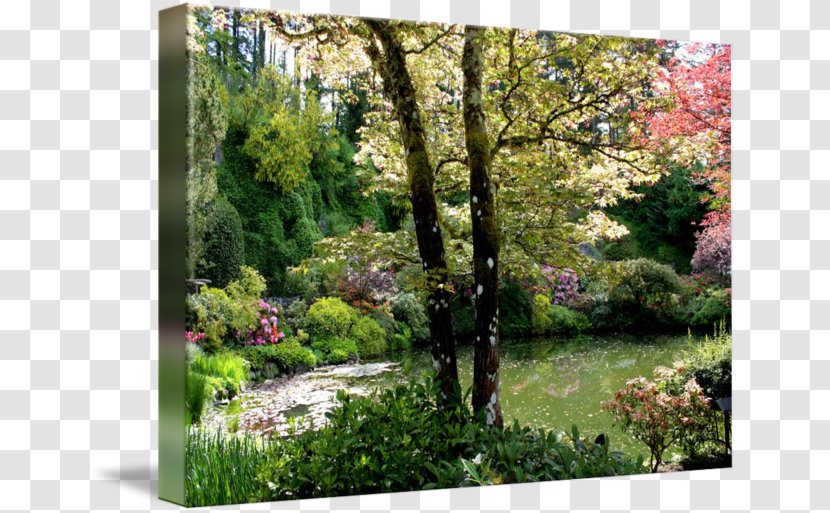 Backyard Garden Pond Gallery Wrap - Botanical - Plastic Pool Transparent PNG