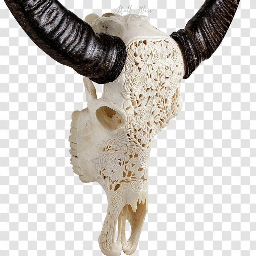 Skull Horn Cattle Carving Art - Buffalo Transparent PNG