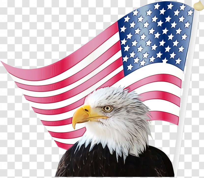 Veterans Day Usa Flag - American - Holiday Beak Transparent PNG