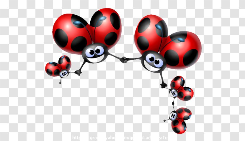 Ladybird Beetle Drawing Clip Art - Coccinelle Transparent PNG