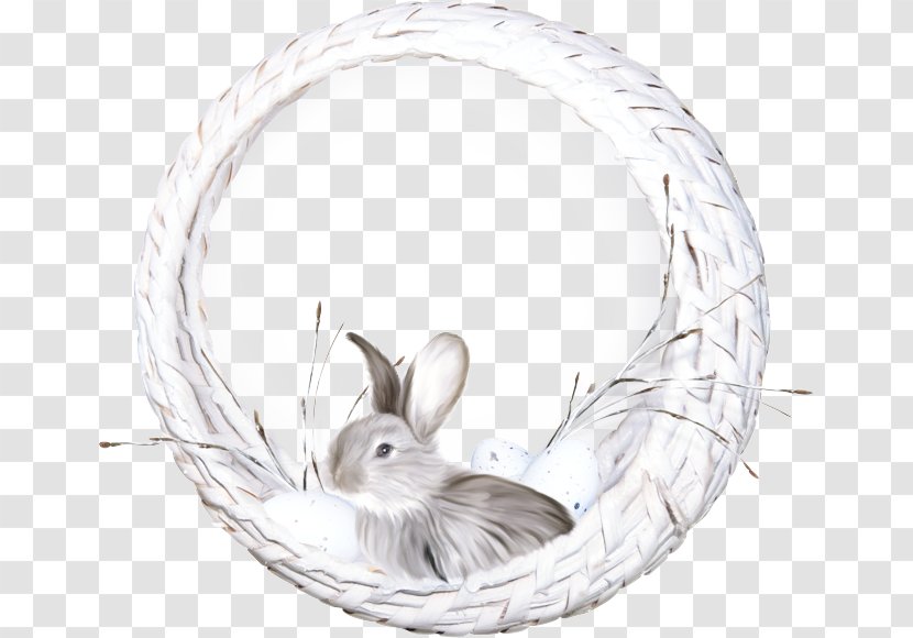 Whiskers Rabbit - Tail Oval Transparent PNG