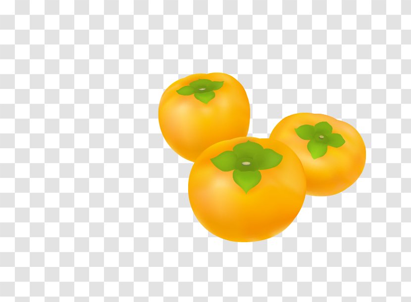 Clementine Persimmon Tangerine Tomato - Three Transparent PNG