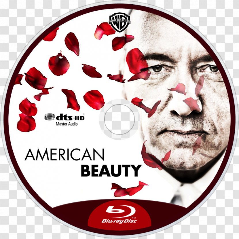 Blu-ray Disc YouTube DVD Film 0 - American Beauty Transparent PNG