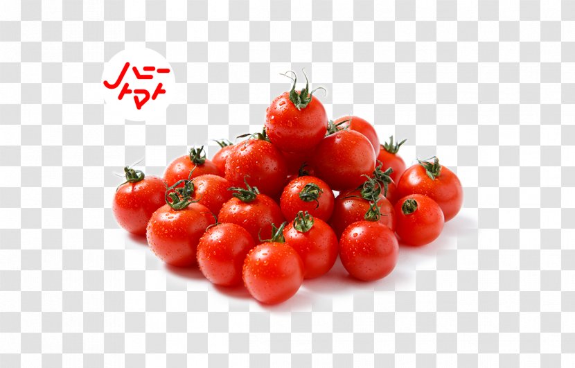 Plum Tomato Bush Food Vegetarian Cuisine - Malpighia - Farm To Table Transparent PNG