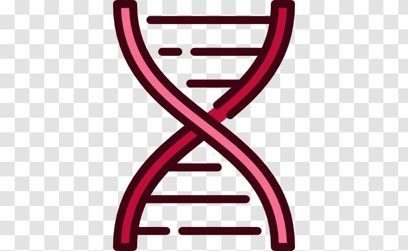 DNA Nucleic Acid Double Helix - Vector - Dna Structure Human Transparent PNG