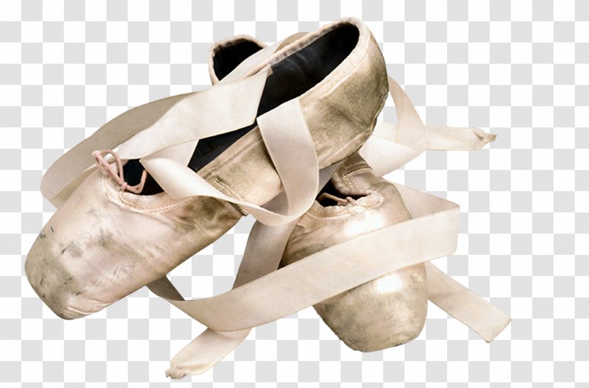 Ballet Shoe Slipper Pointe - Flat - Shoes Transparent PNG