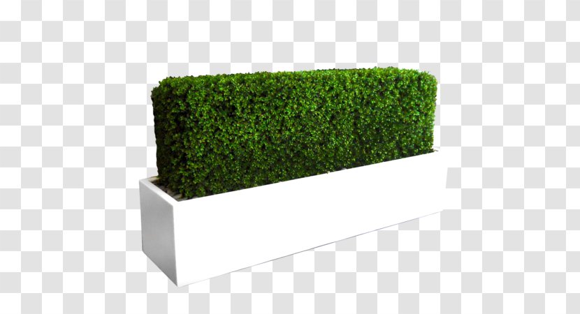 Rectangle Flowerpot Flower Box Planter Transparent PNG