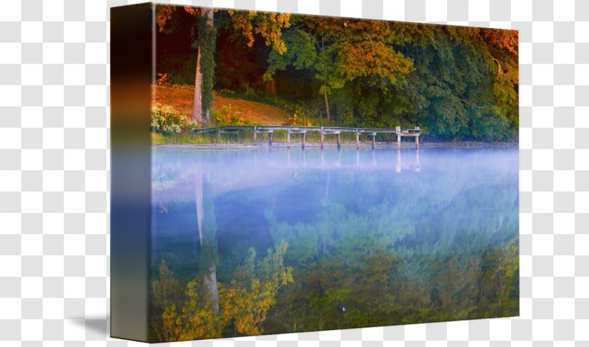 Painting New England Water Resources Gallery Wrap Tree - Autumn Transparent PNG