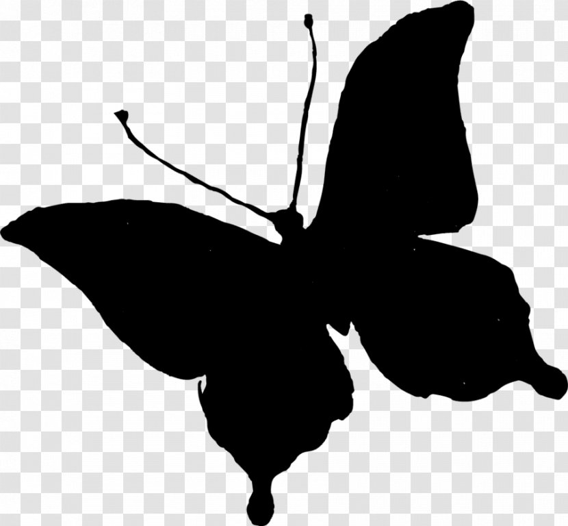 Clip Art Brush-footed Butterflies Silhouette Butterfly - Black - Icons Transparent PNG