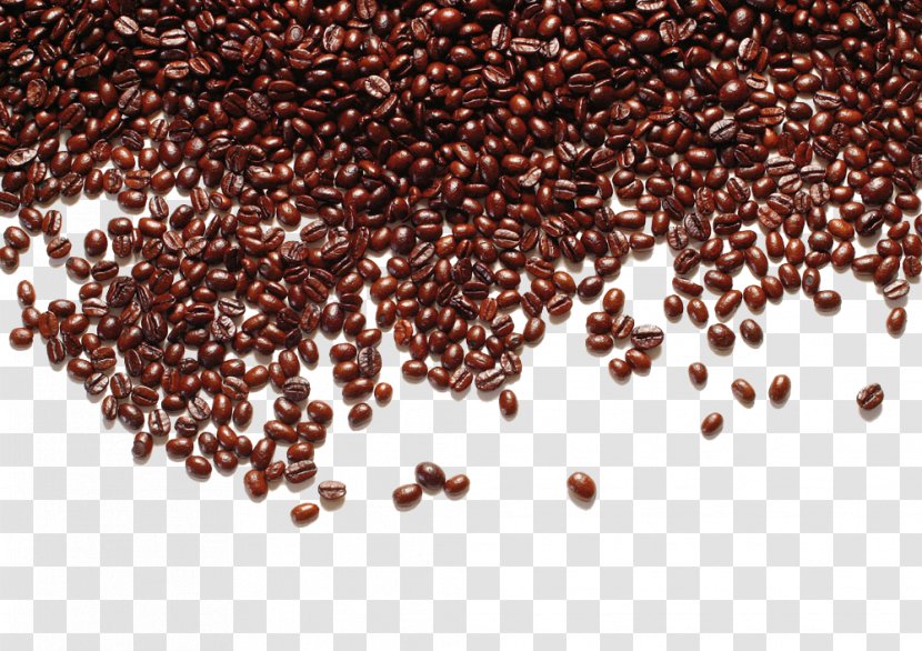 Bourbon Coffee Caffxe8 Mocha Irgachefe - Beans Shading Free Downloads Transparent PNG