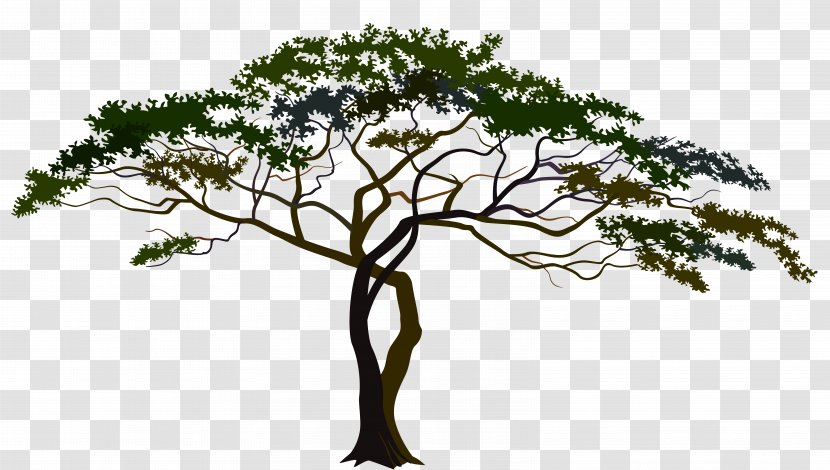 Savannah Tree Foundation Clip Art - Free Content - Savanna Cliparts Transparent PNG