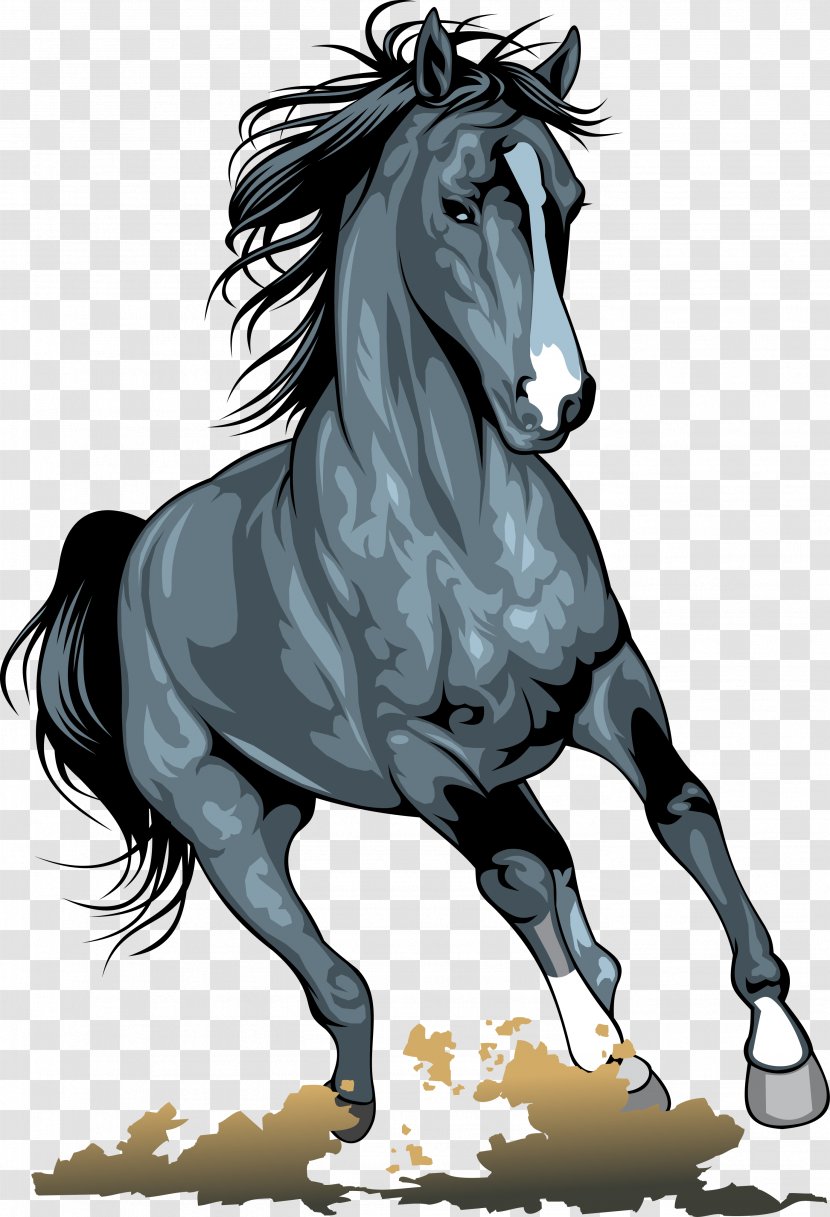Horse Pony Clip Art - Like Mammal Transparent PNG