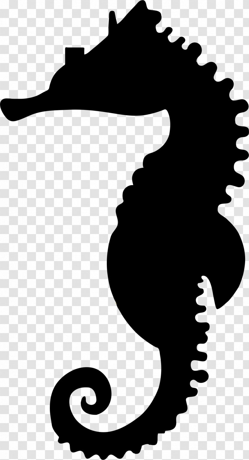 Seahorse Silhouette Clip Art - Black Transparent PNG