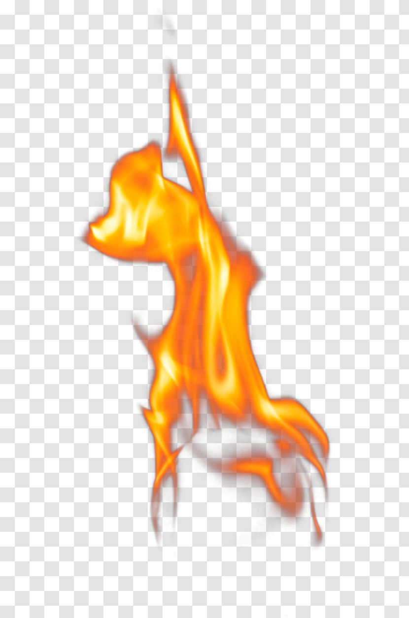 Flame Fire Euclidean Vector - Organism Transparent PNG