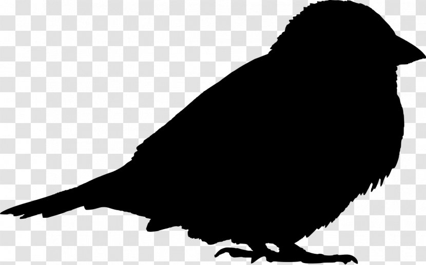 House Sparrow Bird Finch Somali Sind - Crow Transparent PNG