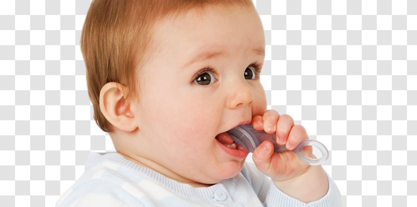 Infant Brush-Baby Chewable Toothbrush & Teether Baby Food - Brush Transparent PNG